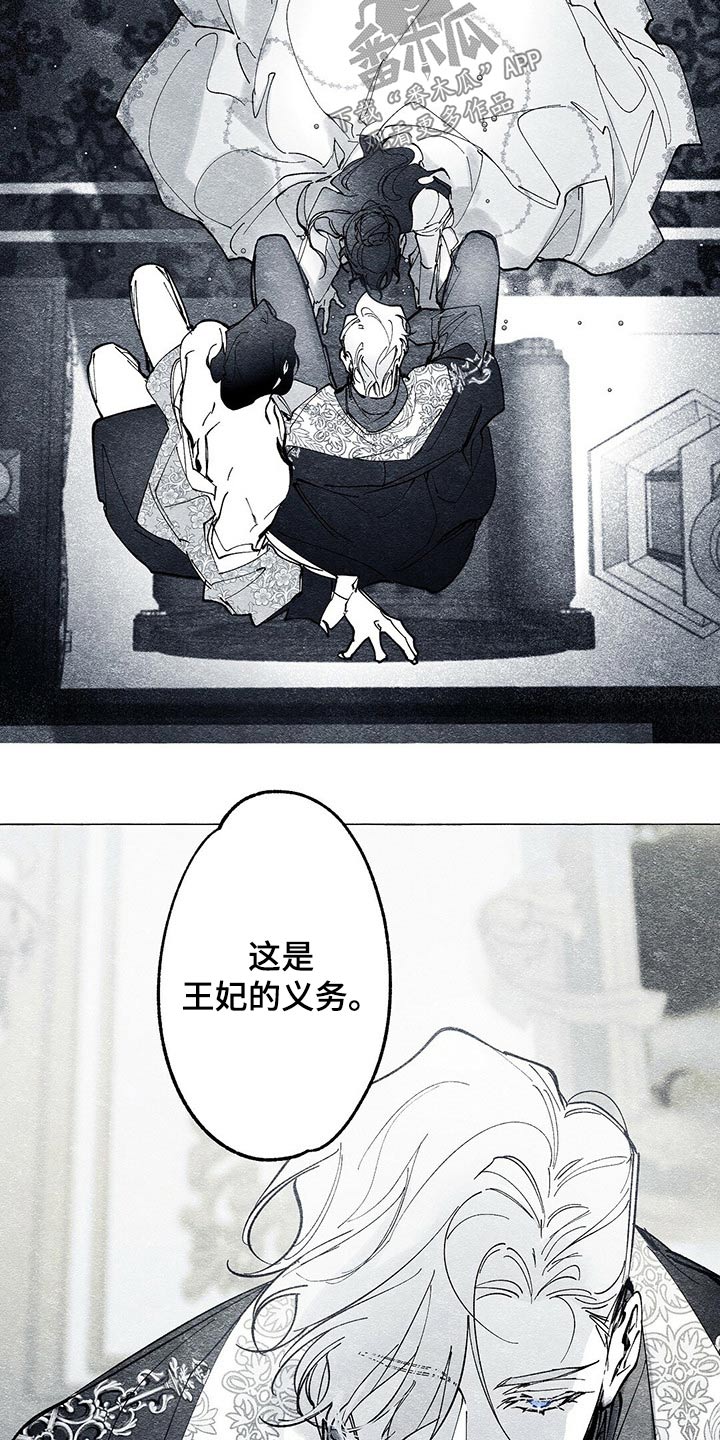 第29章：义务16