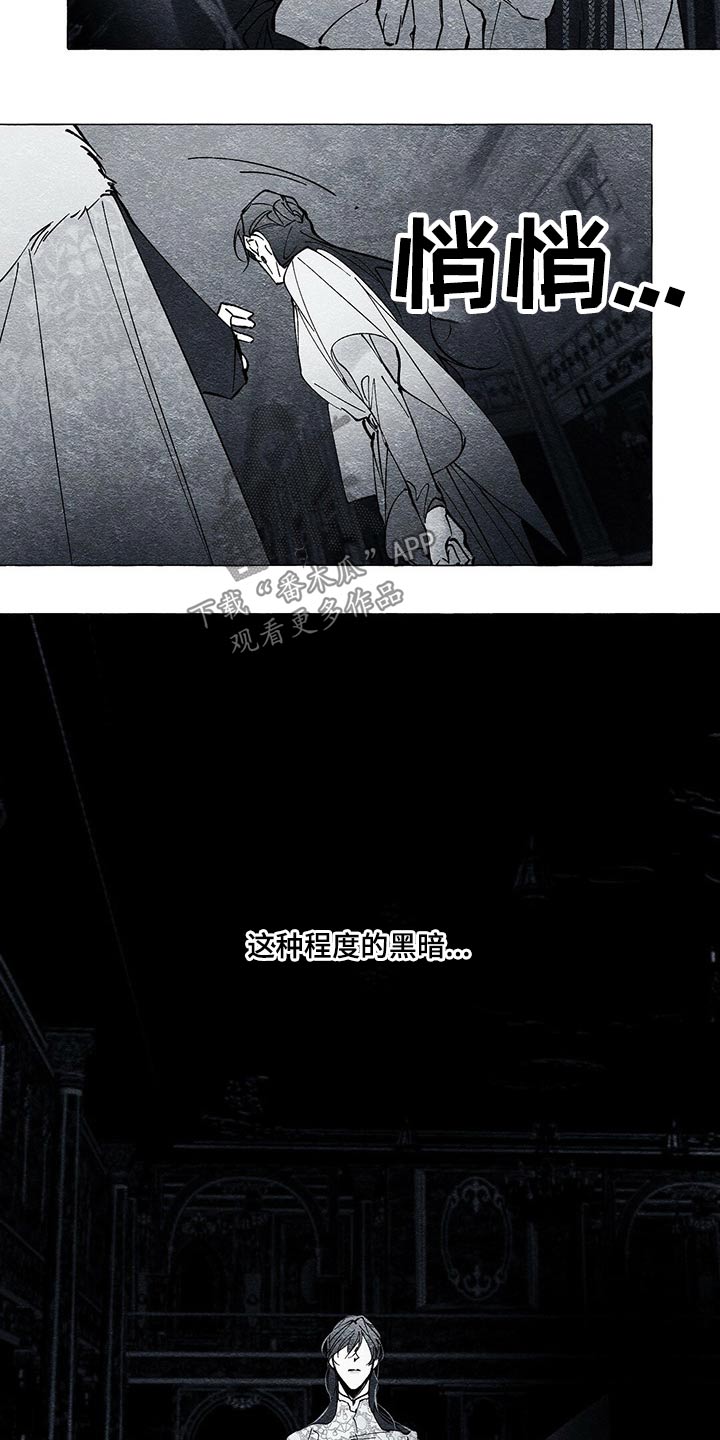 第39章：黑衣人8