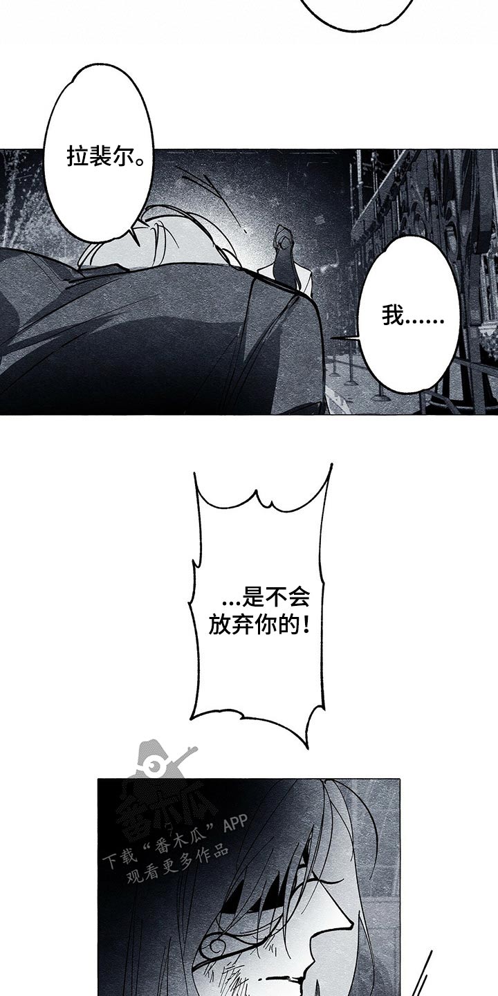 第29章：义务5
