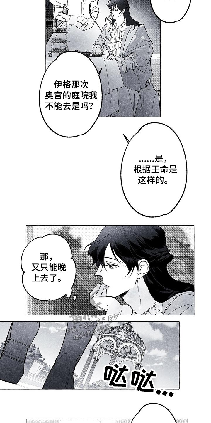 第17章：晕倒6