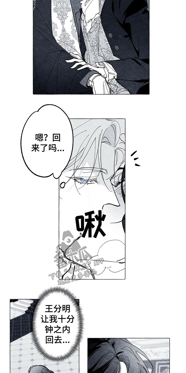 第29章：义务8