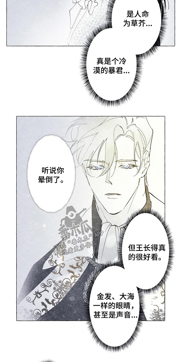 第19章：装扮15