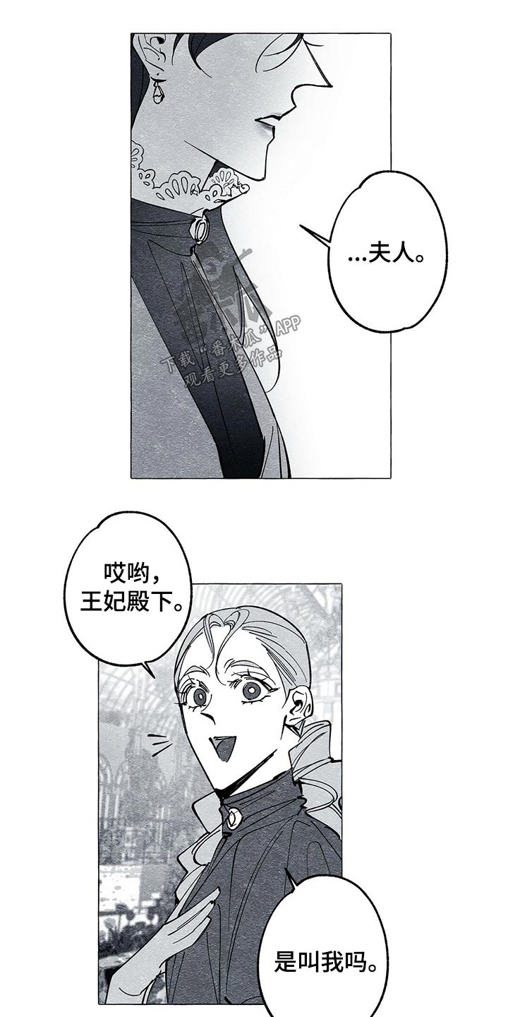 第43章：画集14