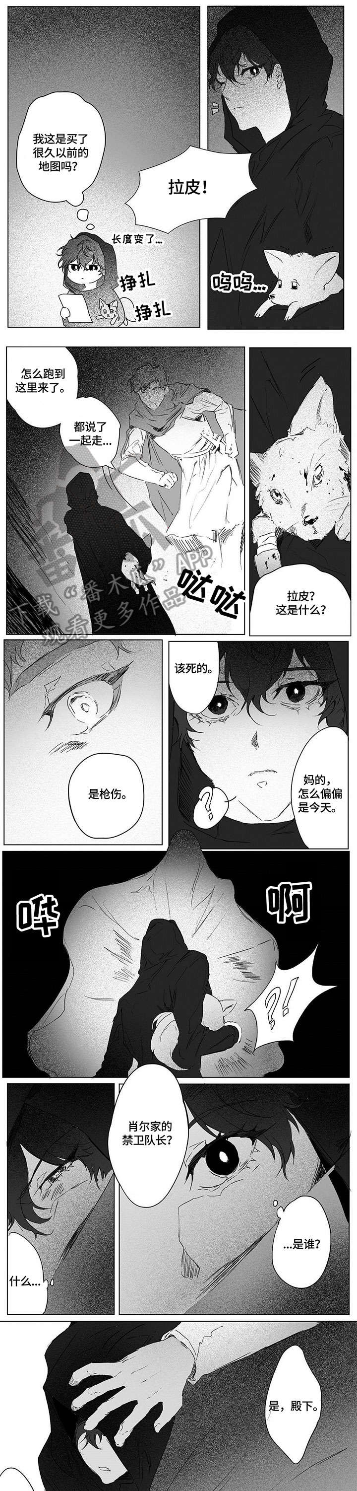 第5章：见面0