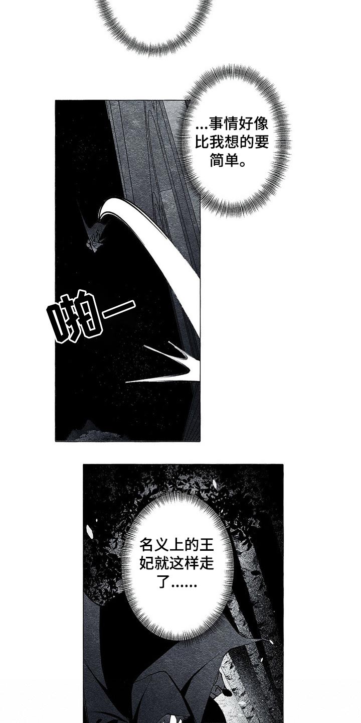 第33章：王妃21