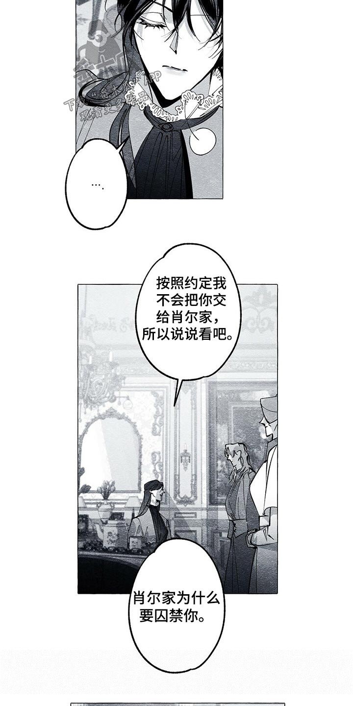 第45章：查清楚5