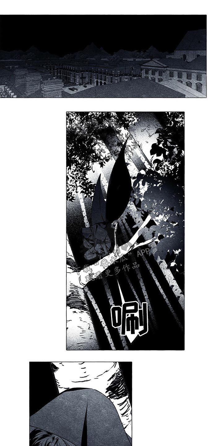 第33章：王妃9