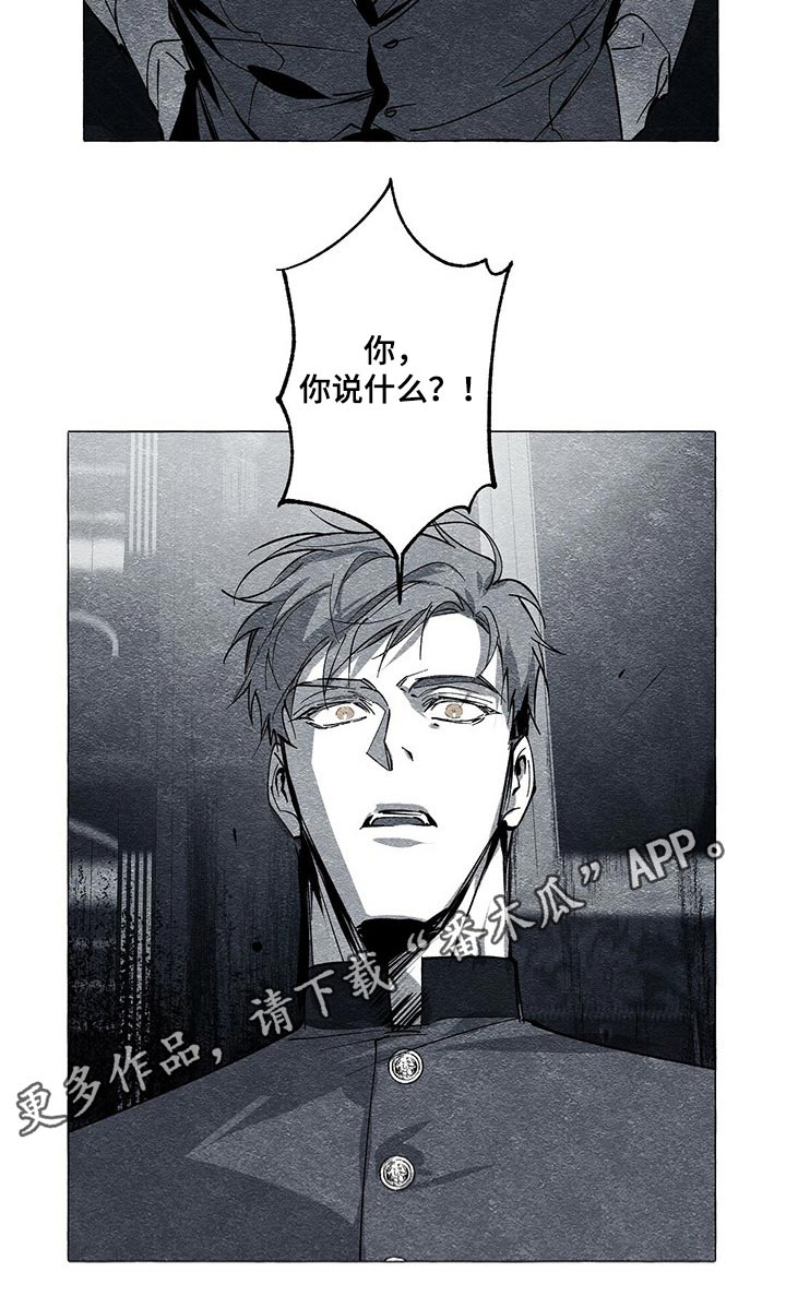 第46章：信封18