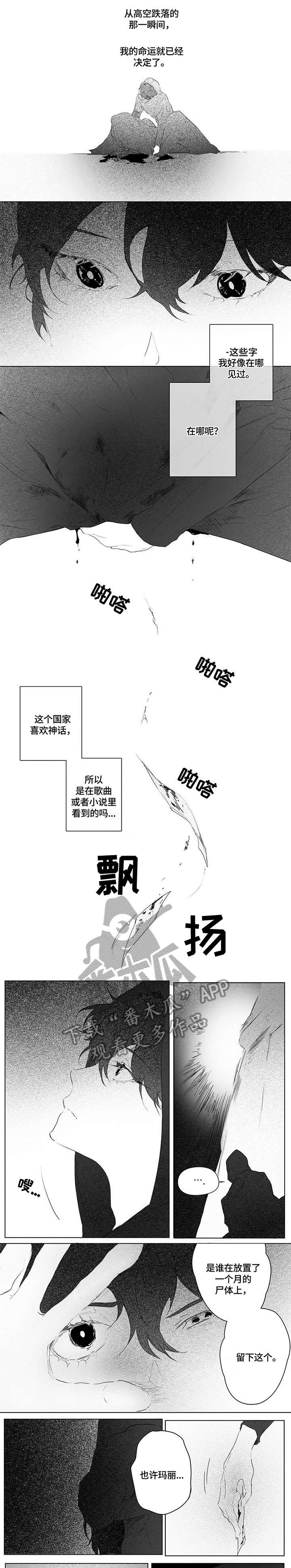 第4章：尸体5