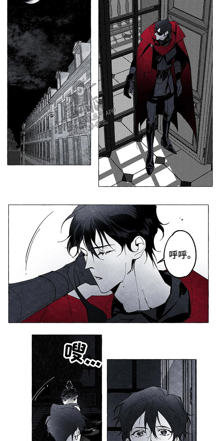 第16章：探查12
