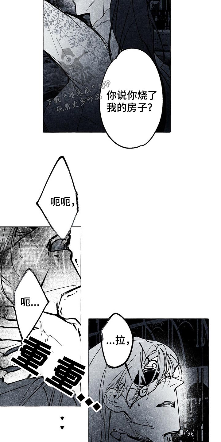第29章：义务1