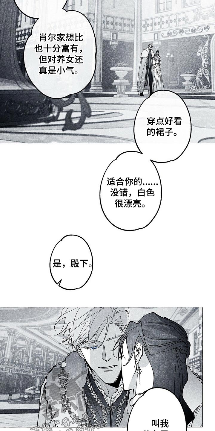 第38章：暗杀12