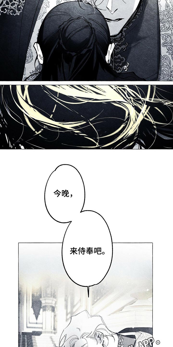 第29章：义务17