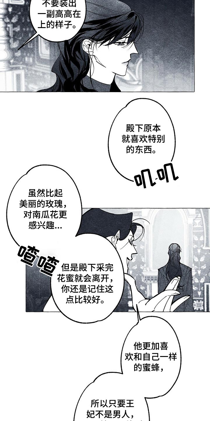 第33章：王妃1