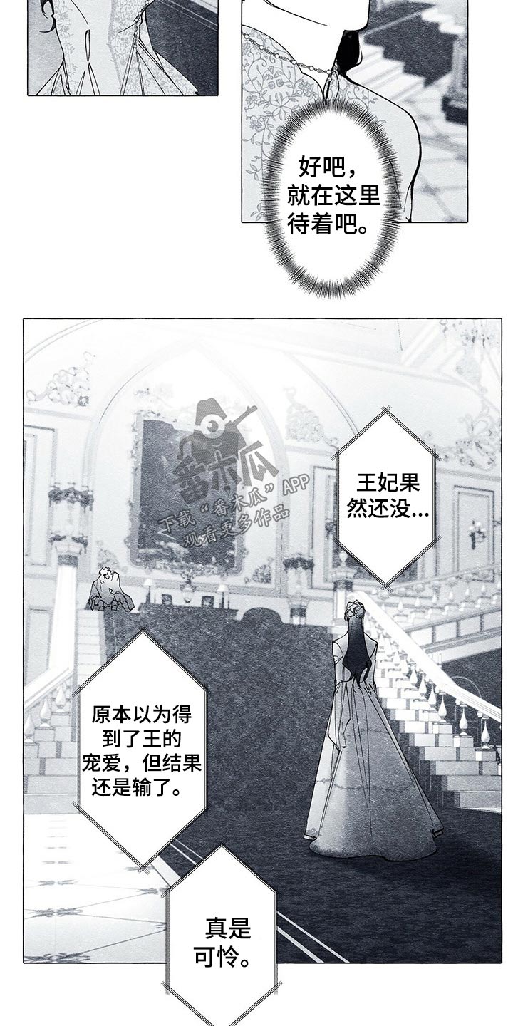 第29章：义务10
