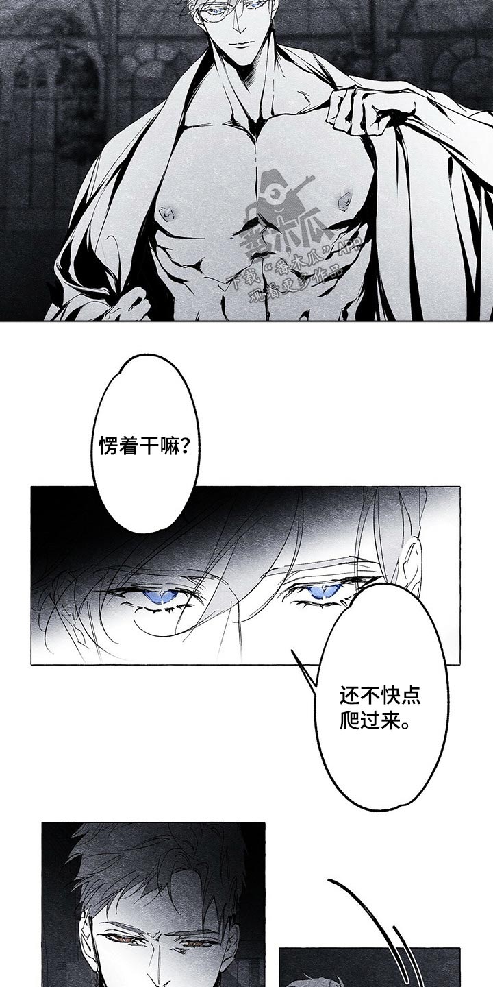 第21章：发现8