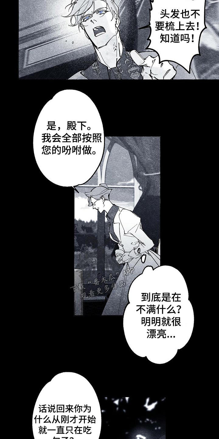 第26章：嘱咐11