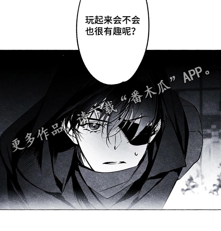 第21章：发现15