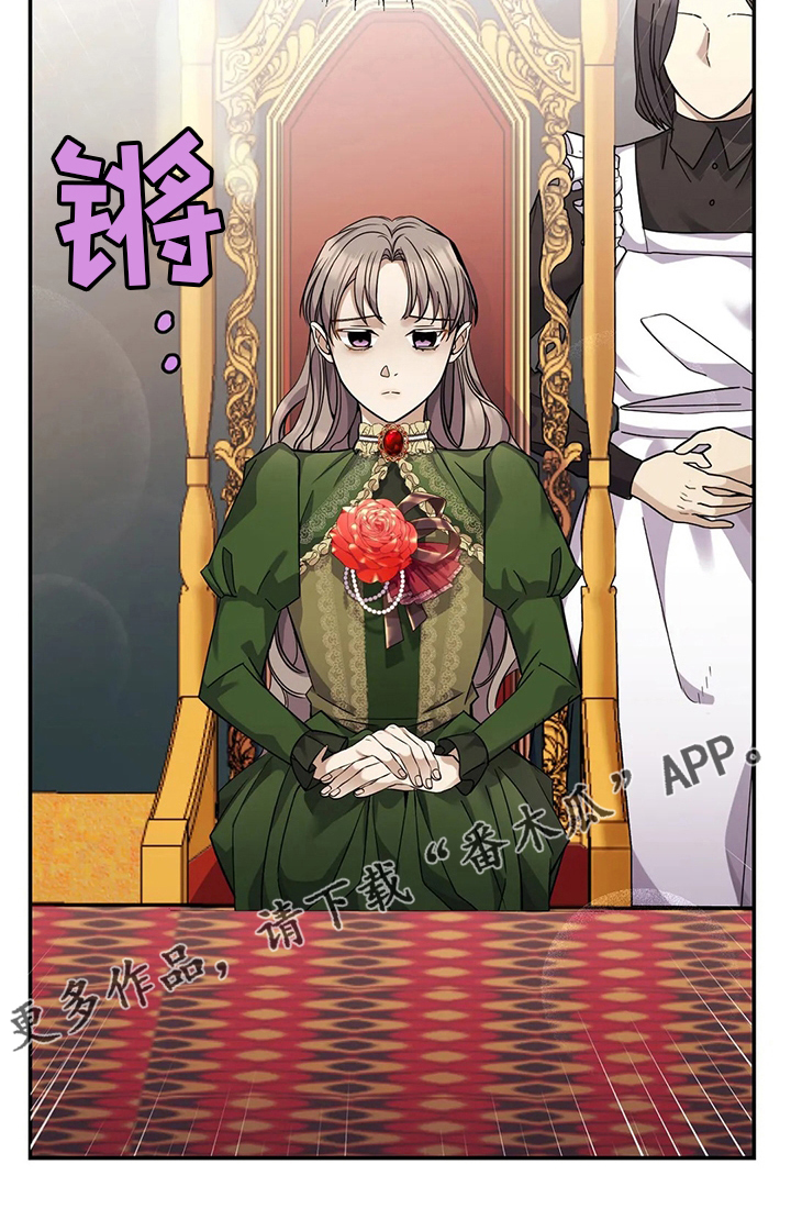 第35章：意大利面24