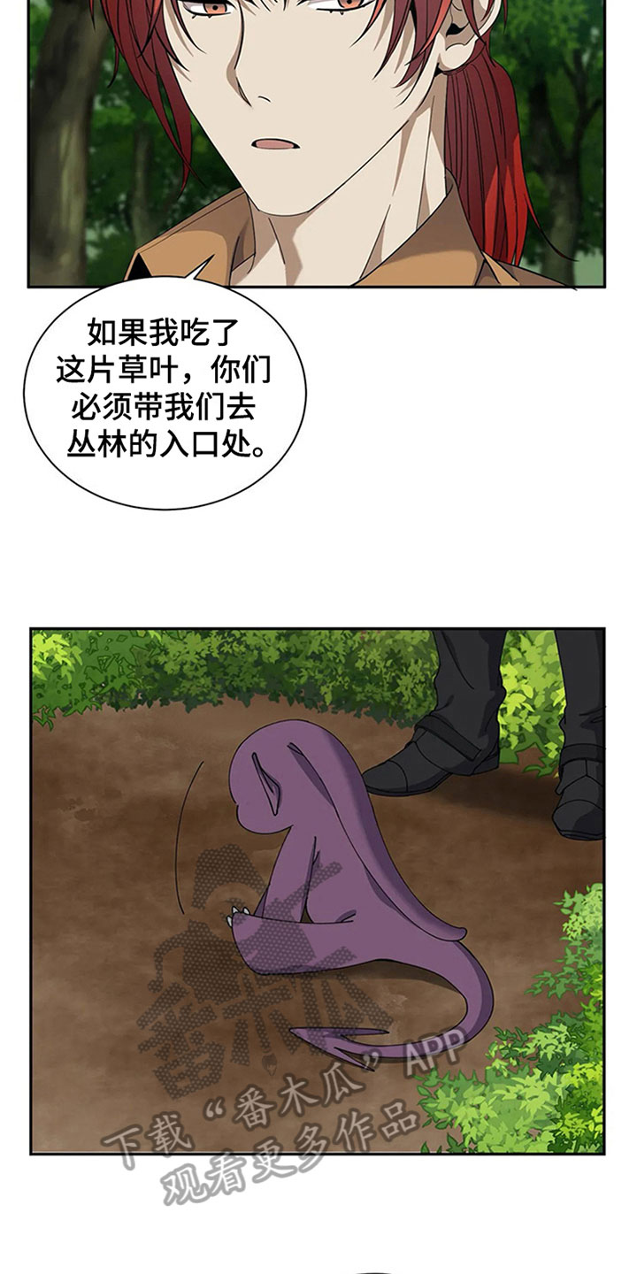 第16章：吃下12