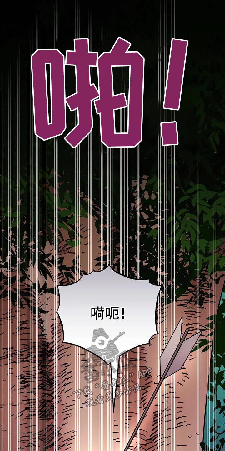 第96章：展示17