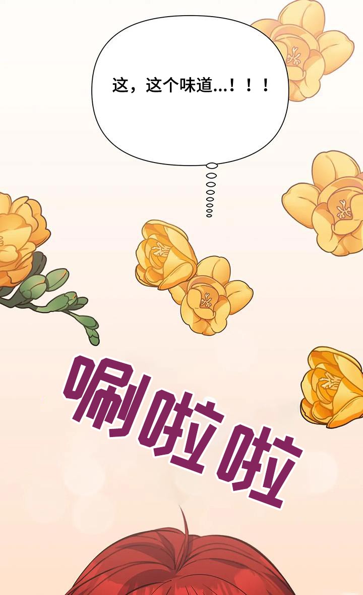 第133章：食材9