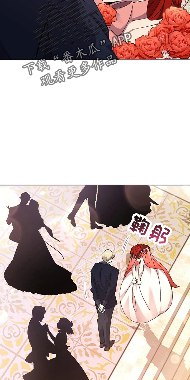 第60章：搭档14