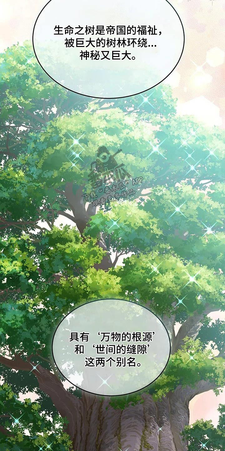第120章：安排8