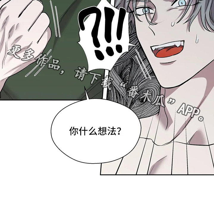 第19章：误解16