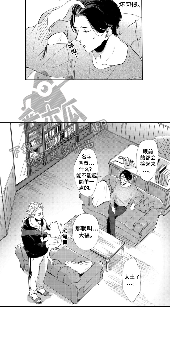 第5章：收留7