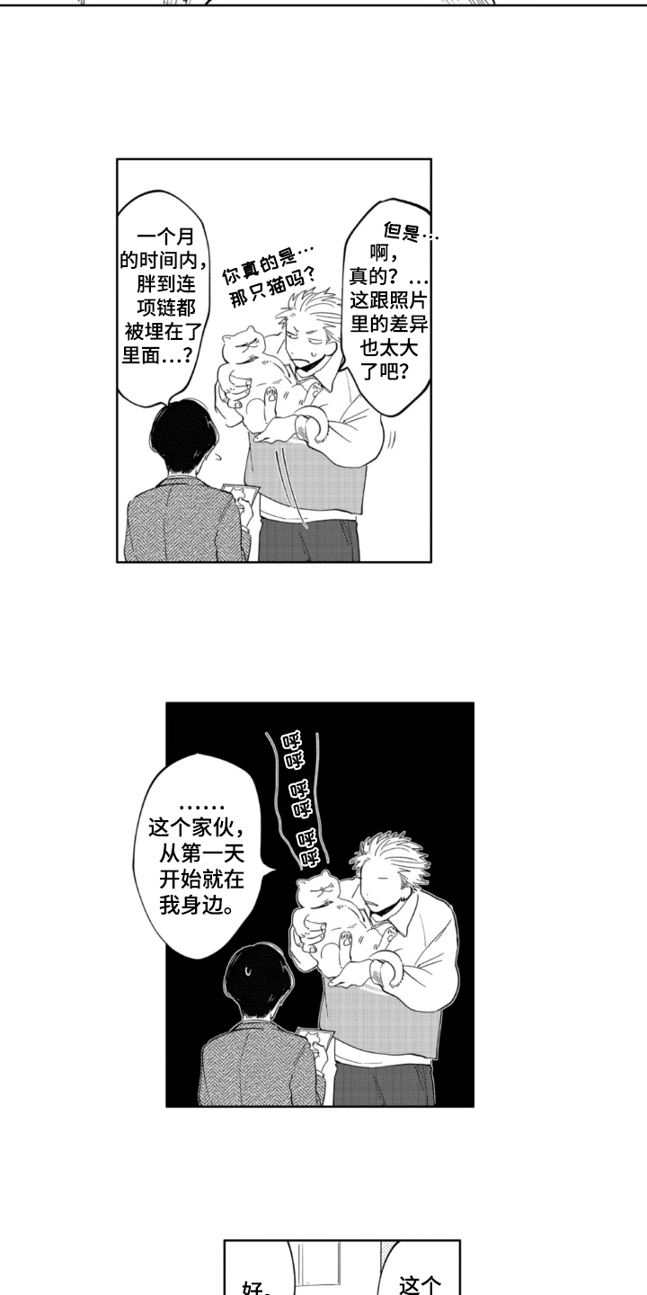 第4章：抛弃5