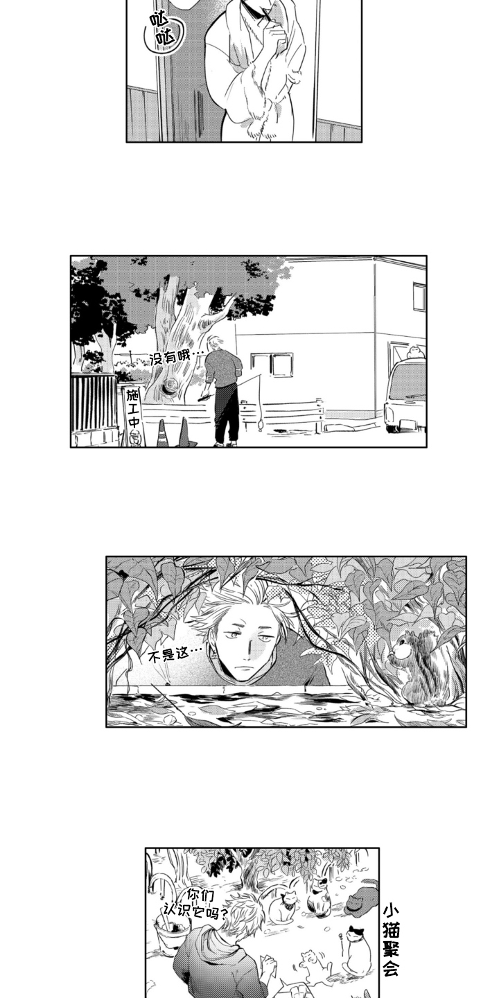 第3章：找猫9