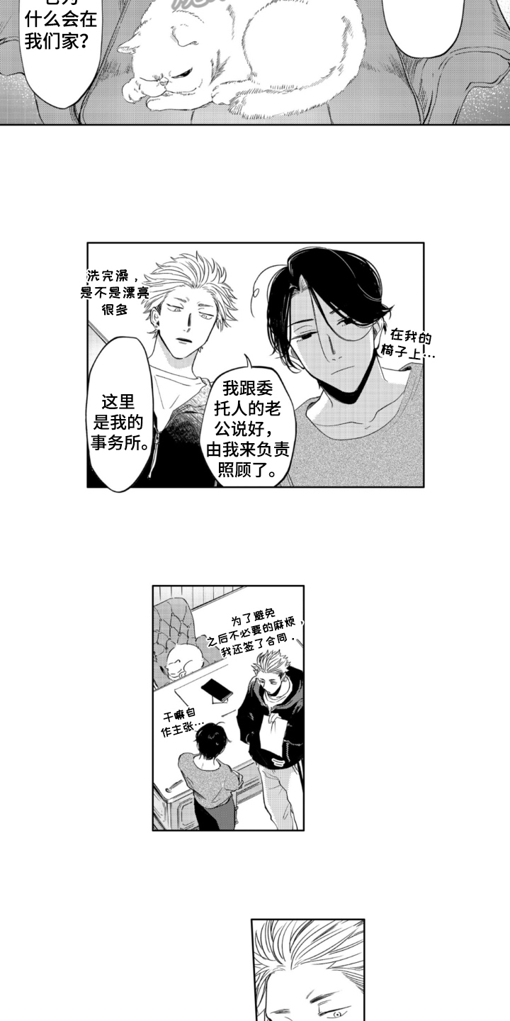 第5章：收留3