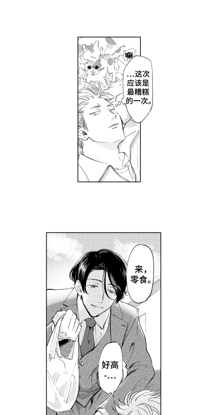 第3章：找猫11