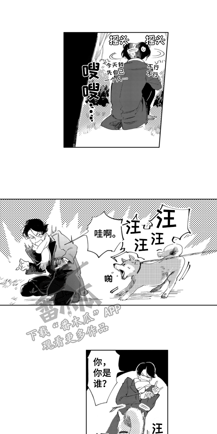第22章：遇袭6