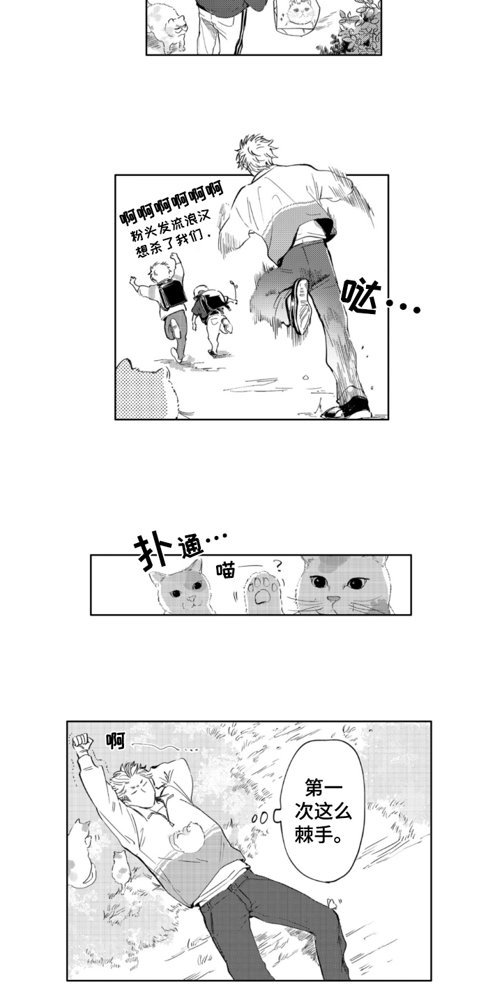 第3章：找猫10