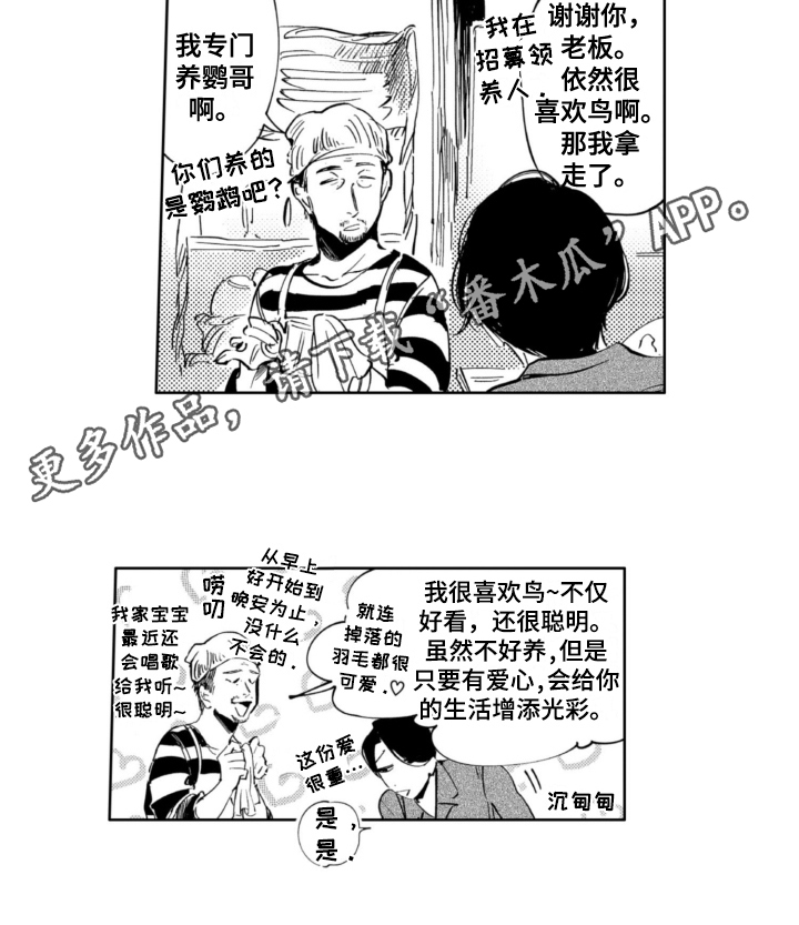第9章：适合11