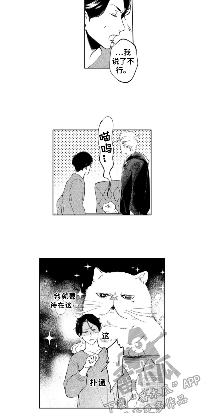 第5章：收留5