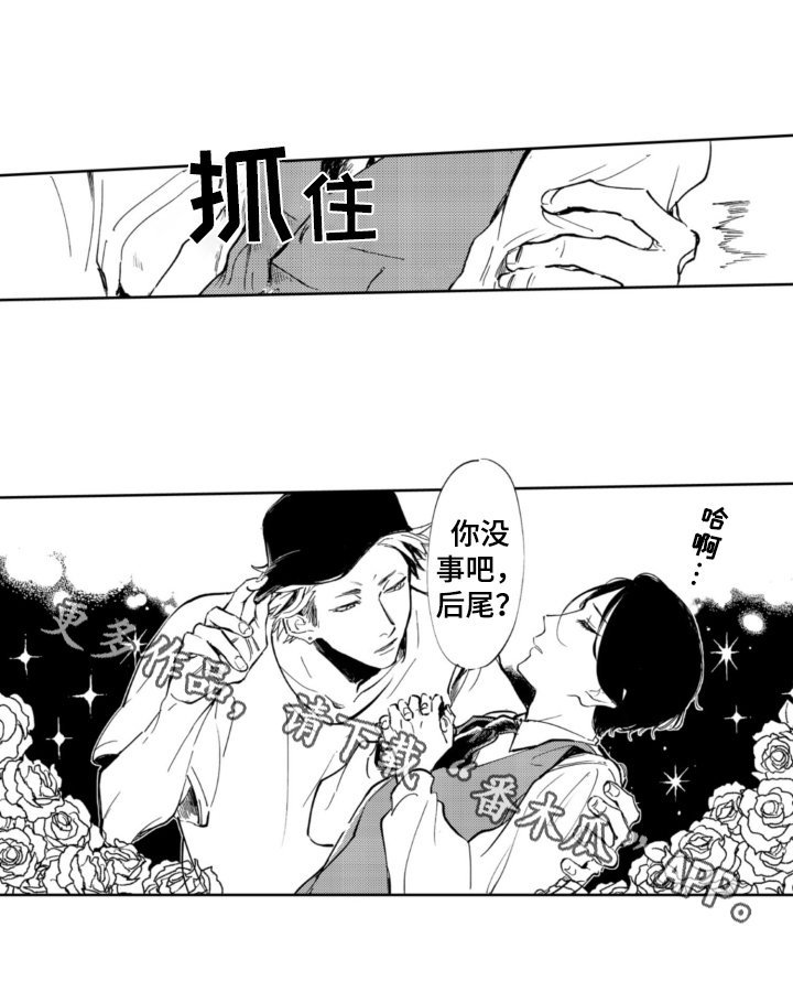 第5章：收留11