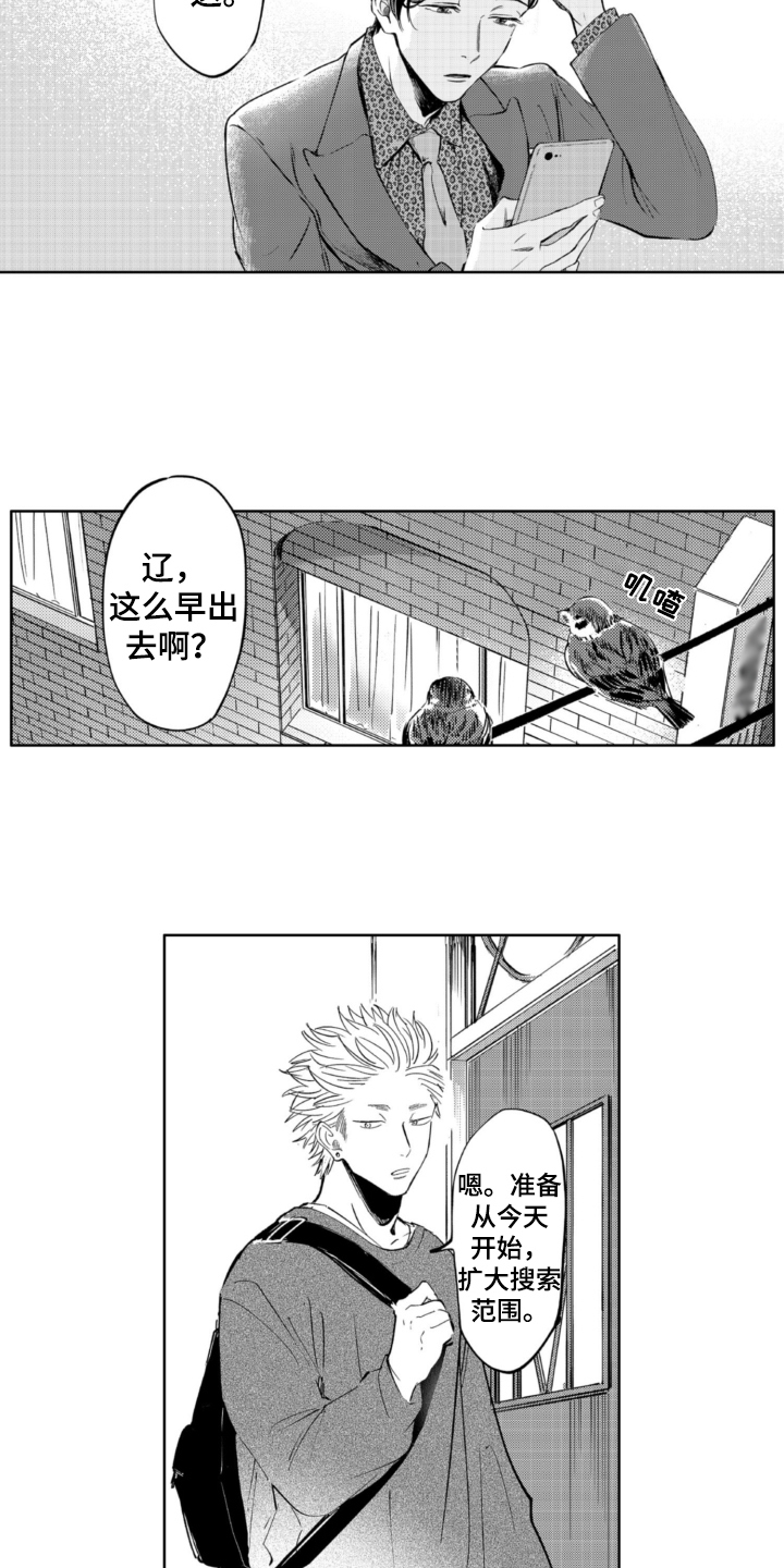 第3章：找猫7