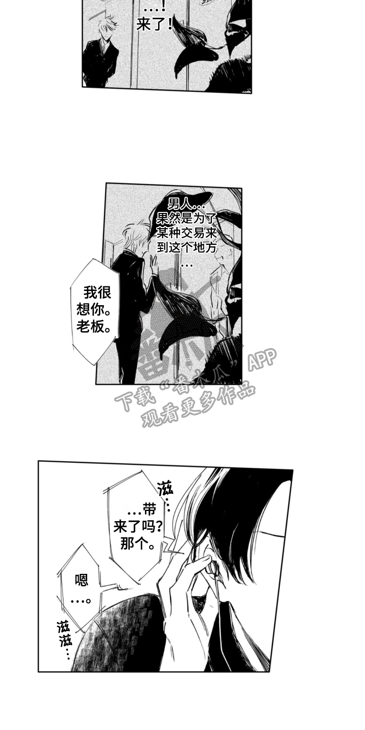 第16章：调查7