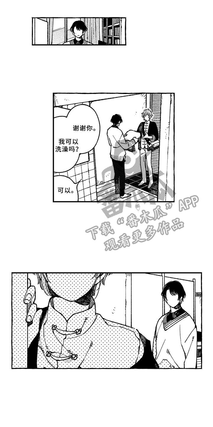 第12章：带回家13
