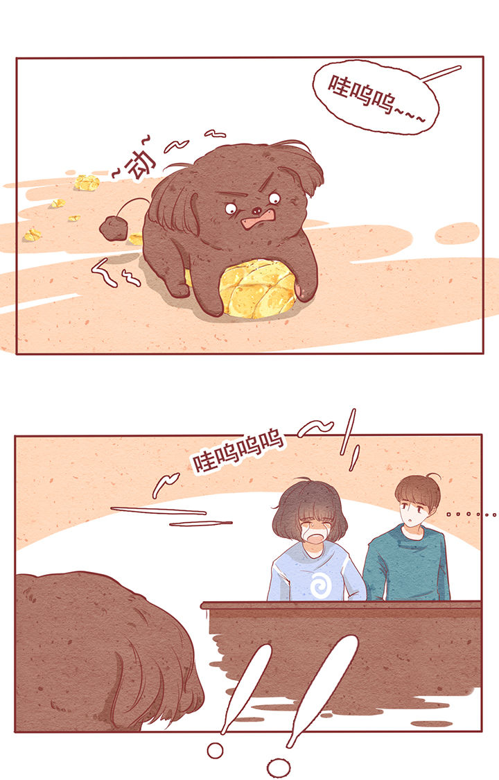 第6章：19