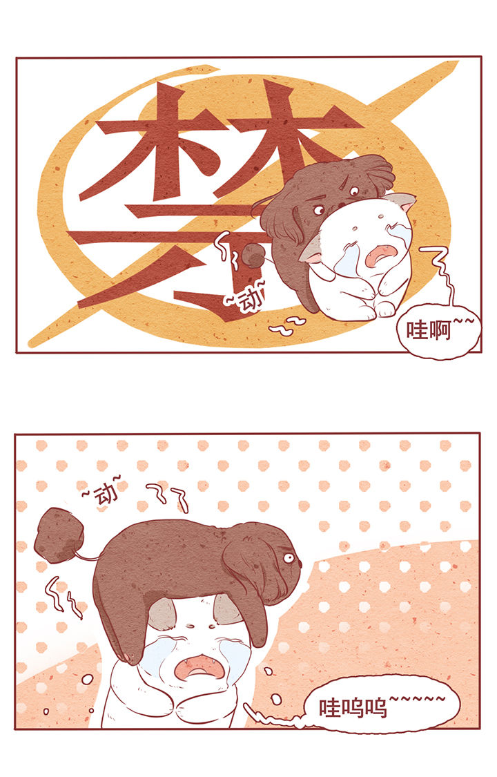 第6章：17