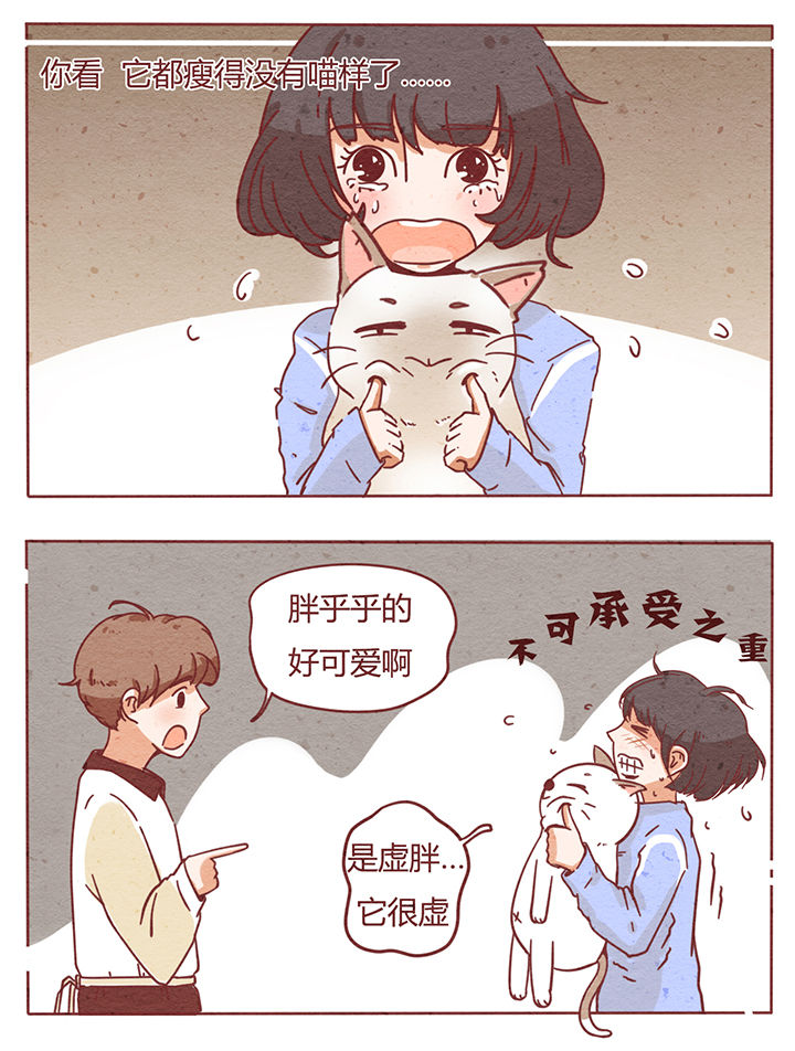 第1章：20