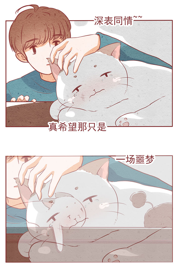 第6章：12