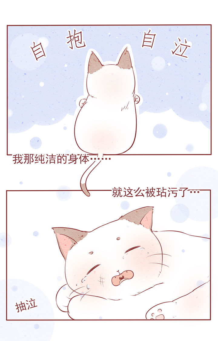 第6章：22