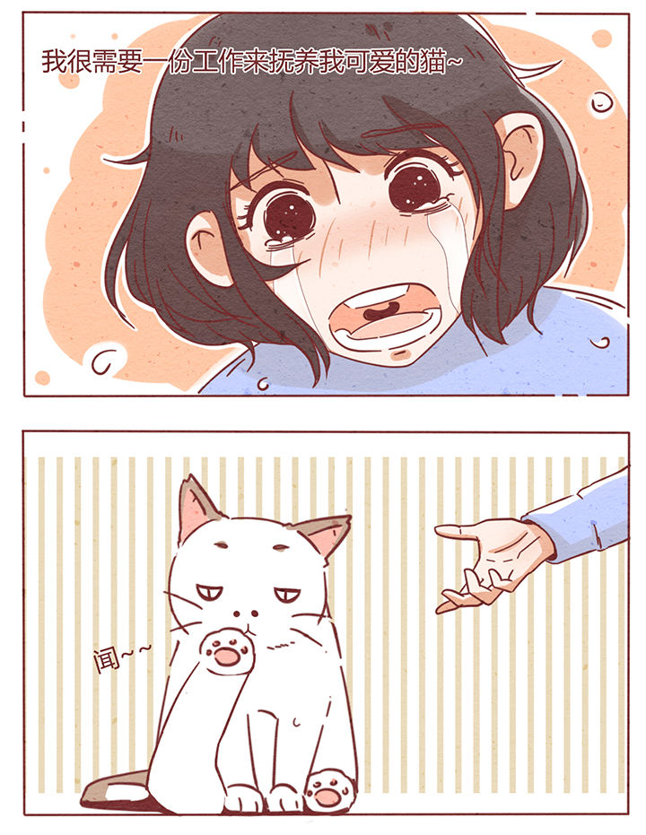 第1章：19