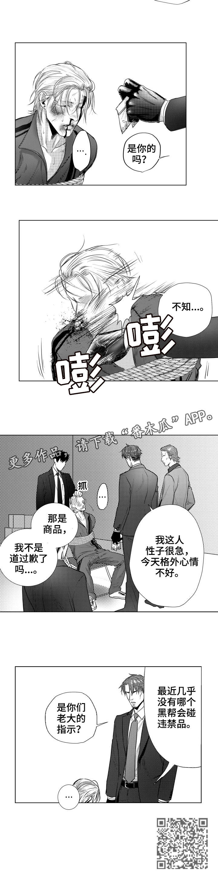 第25章：指示5