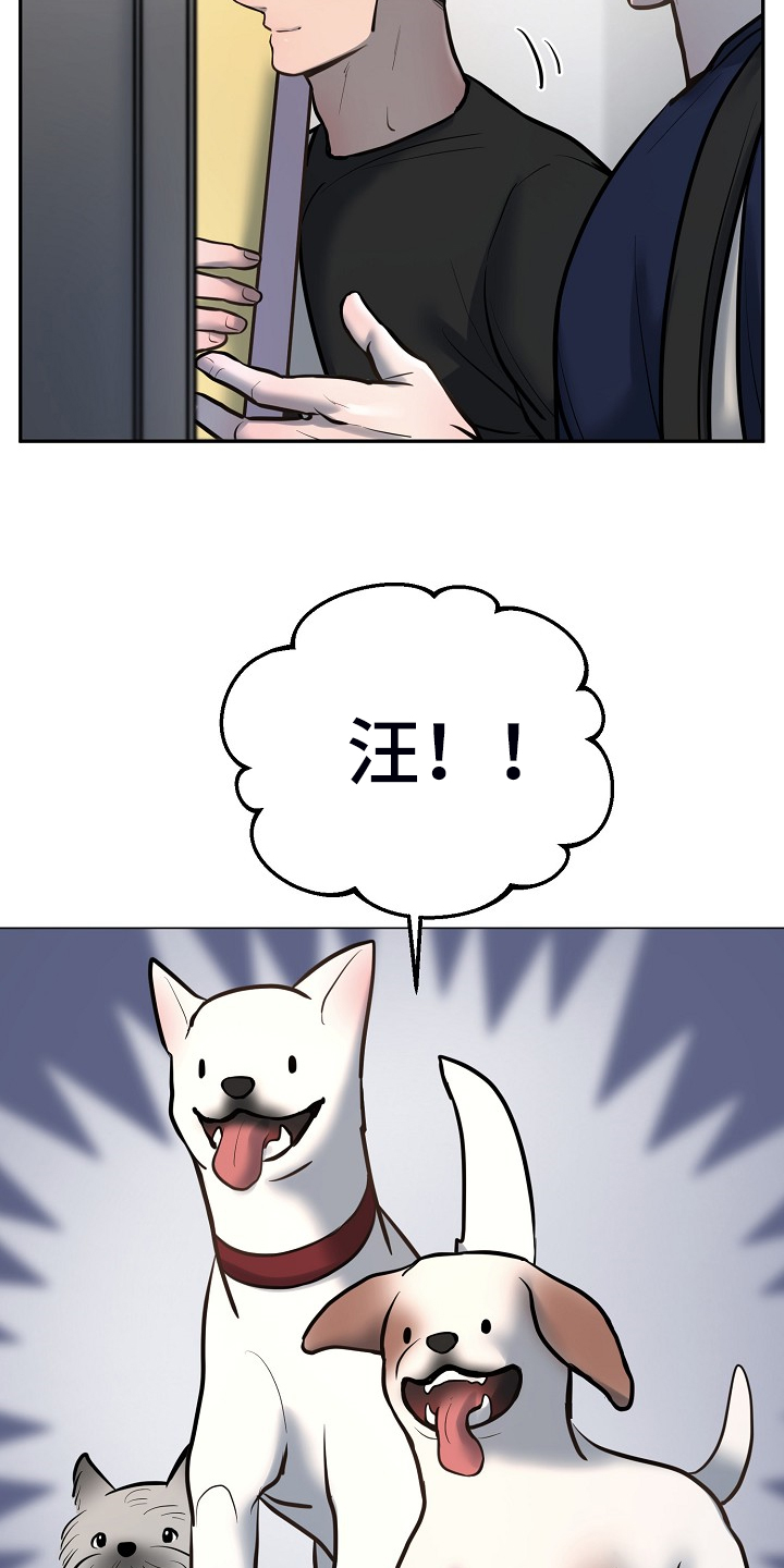 第43章：给狗狗拍照9